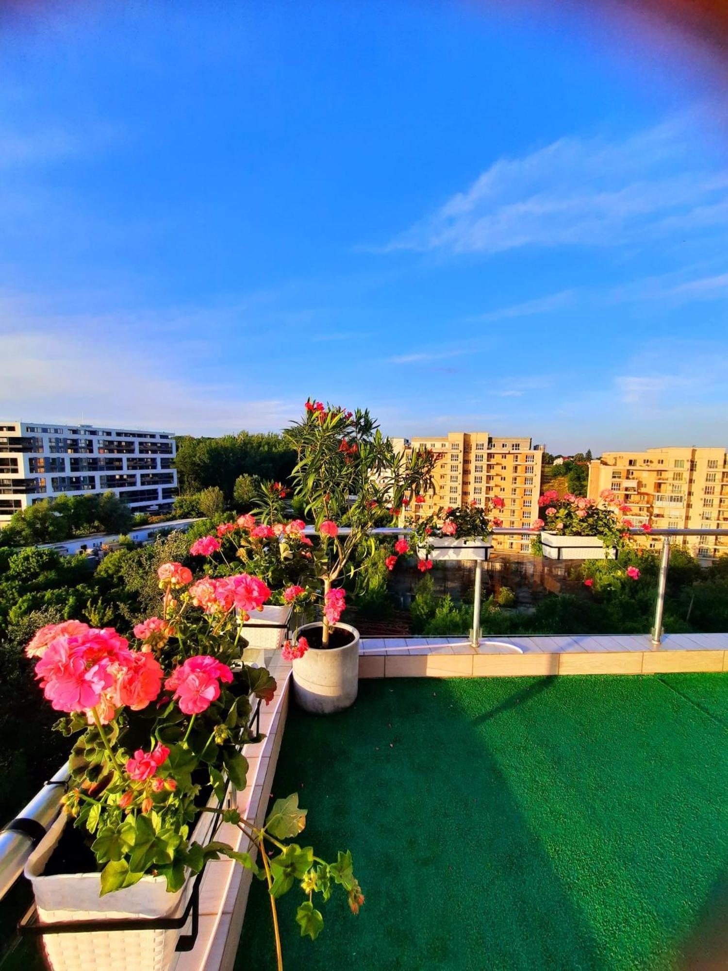 Penthouse View Aeroport Iasi 2 Apartment Exterior photo